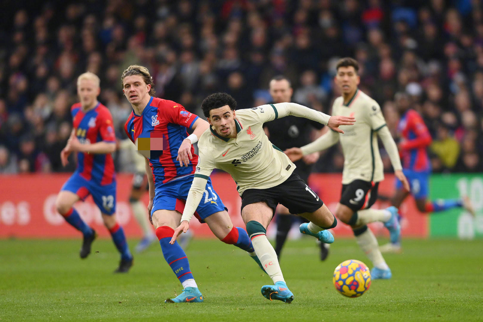 术确保了蓝 术确保了蓝